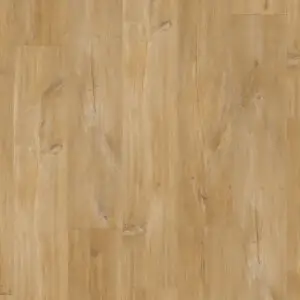 Chêne canyon naturel