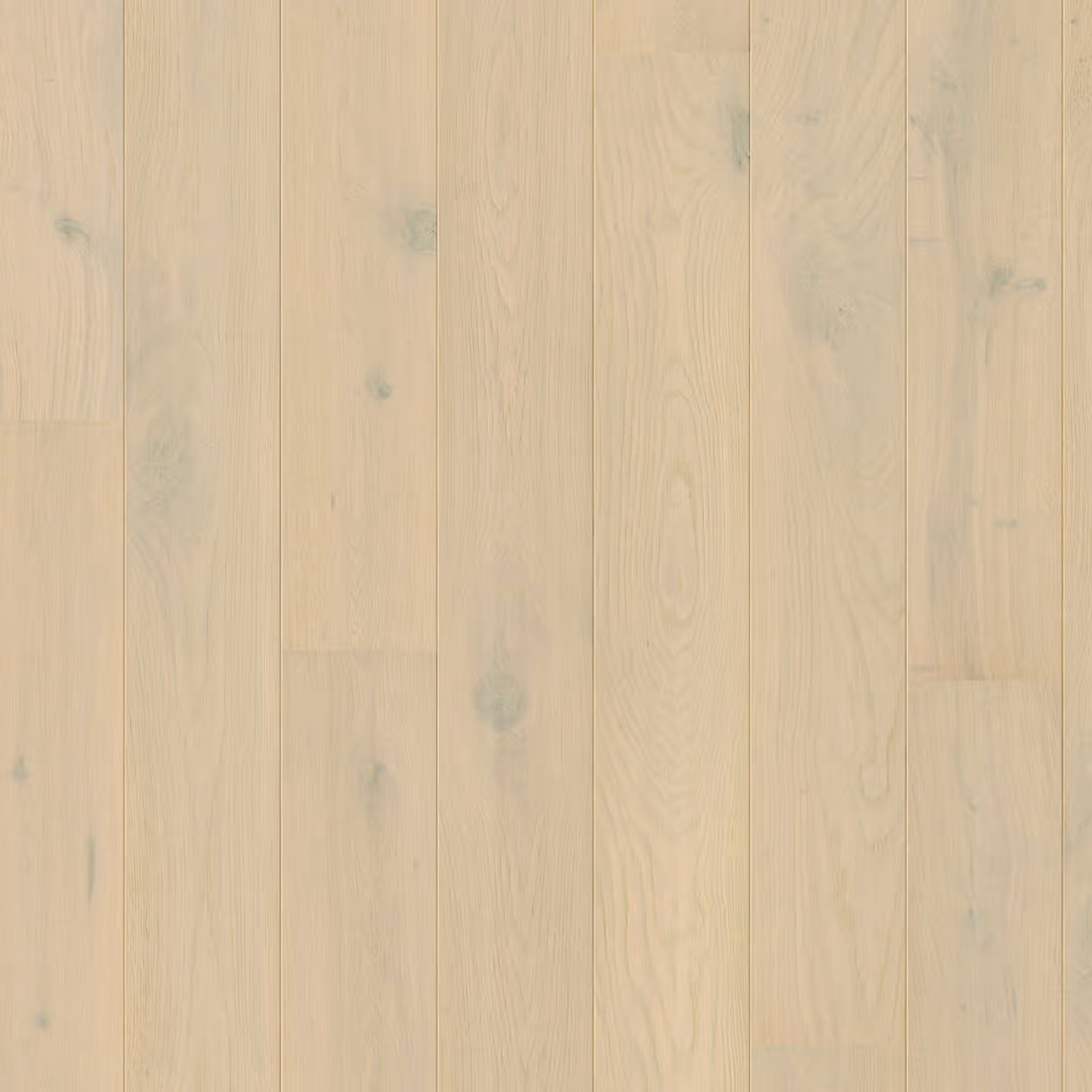 Chêne forêt hivernale extra mat